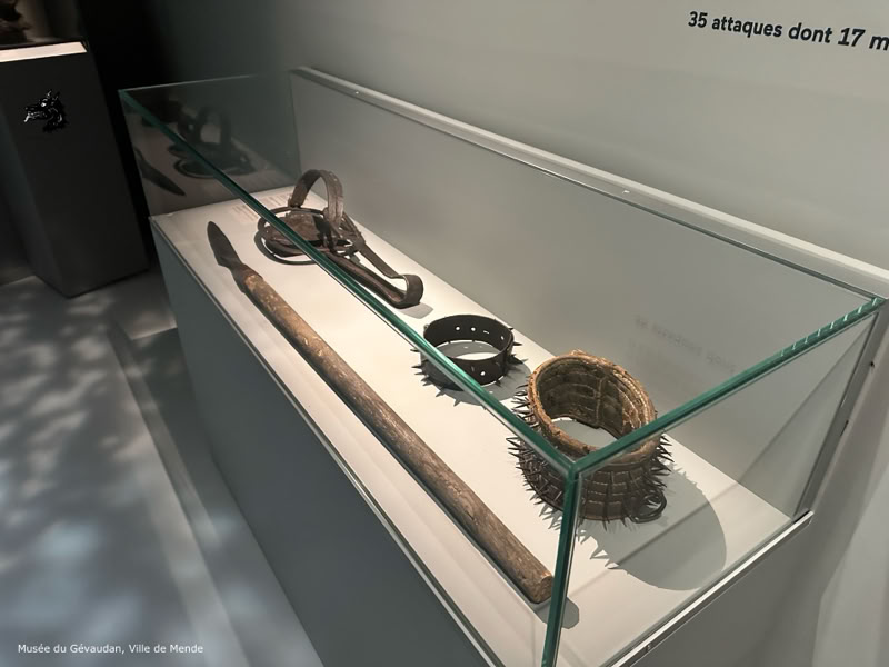 The Gévaudan museum in Mende