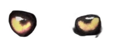 La Bête du Gévaudan