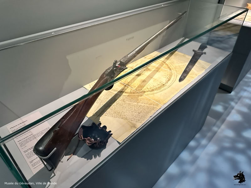 The Gévaudan museum in Mende