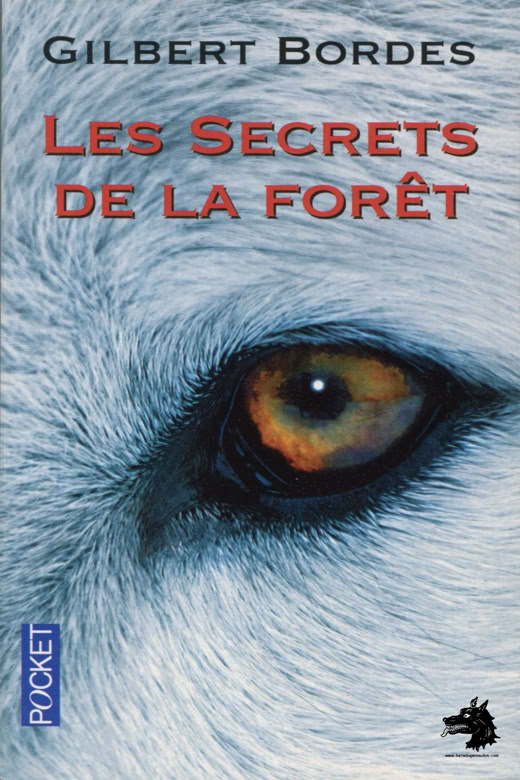 Book Gilbert Bordes - The secrets of the forest