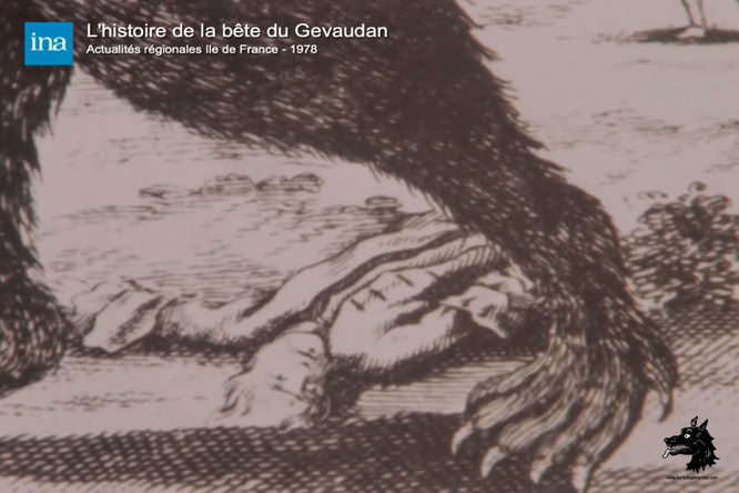 Le Gévaudan entre hyène... et loups ! Émission de Midi Magazine de 1988