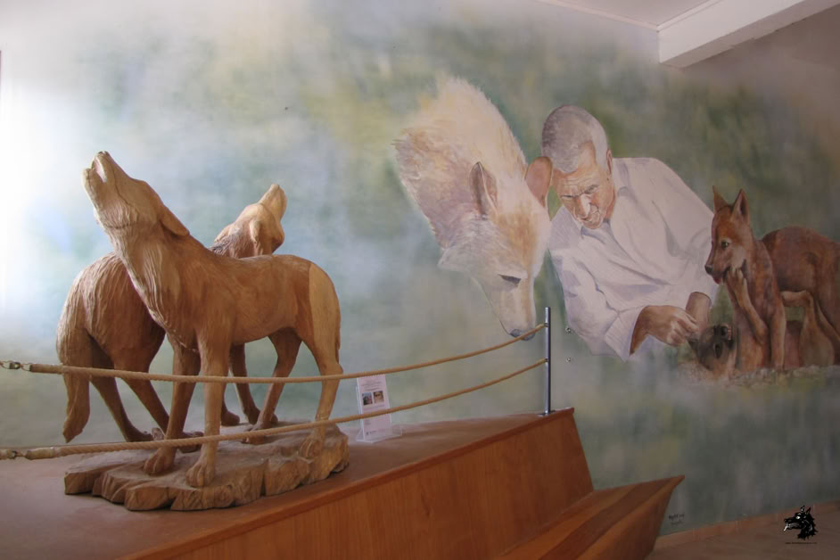 Parc Les loups du Gévaudan