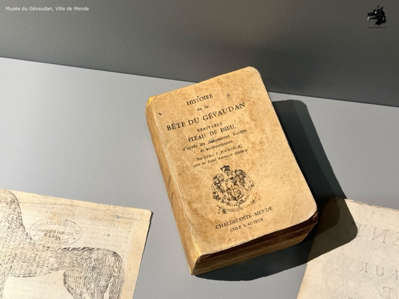 The Gévaudan museum in Mende