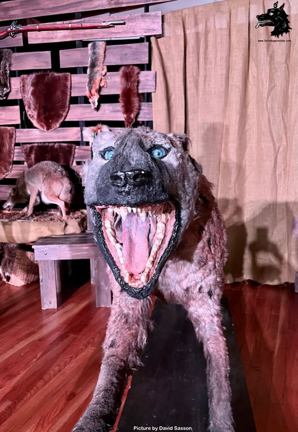 Picture by david Sasson © 2023