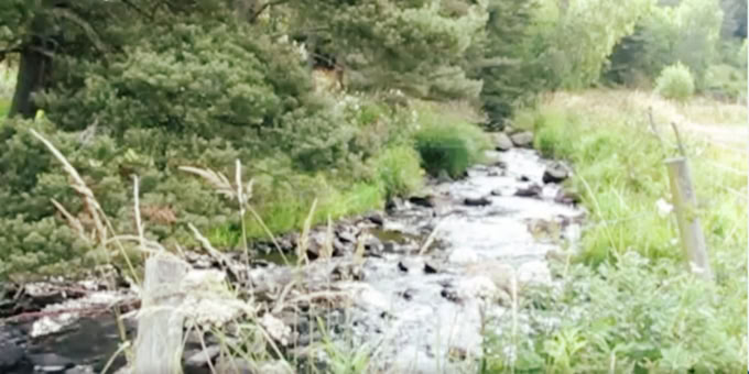 La Rimeize près de Graniboules
