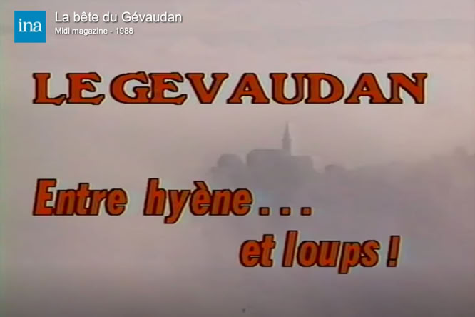 Le Gévaudan entre hyène... et loups ! Émission de Midi Magazine de 1988